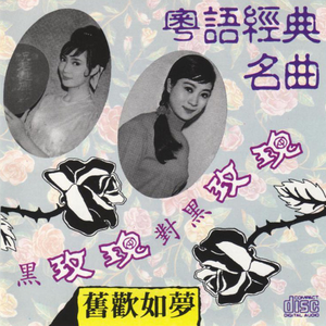 日本成人在线网址
